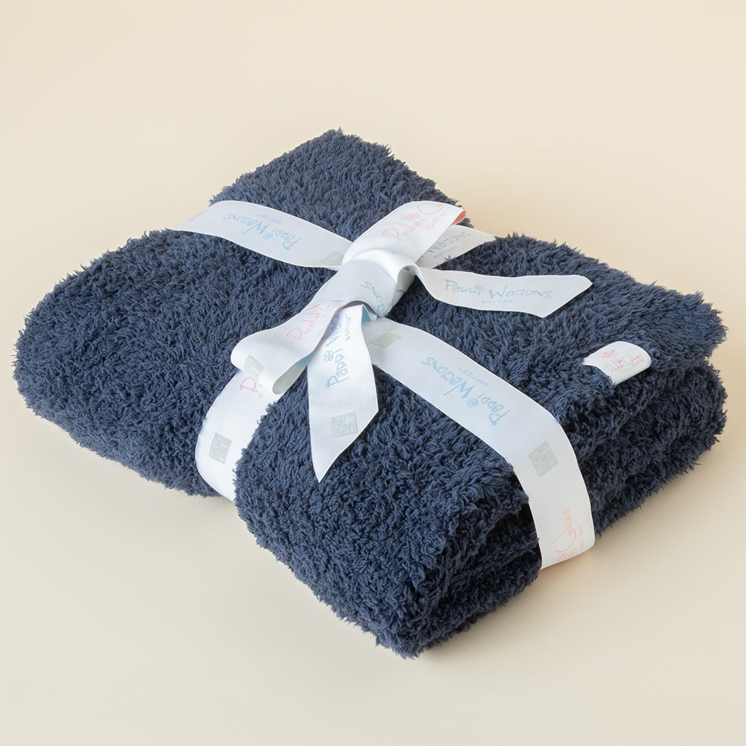 Ultra-Lite Marshmallow 30" x 40" Baby Blanket